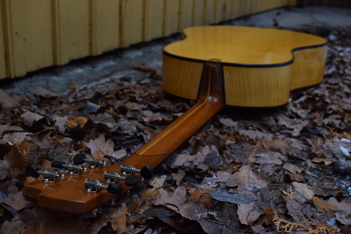 Steel-stringed Instruments | JelInstruments